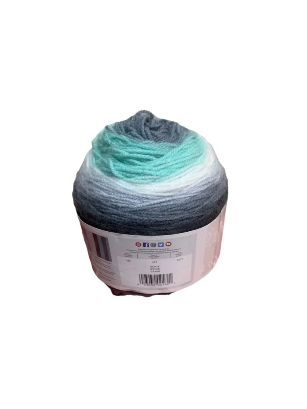 2 New Skeins Lion Mandala Genie 5.3 Oz 590 Yards Aqua Teal Gray Yarn